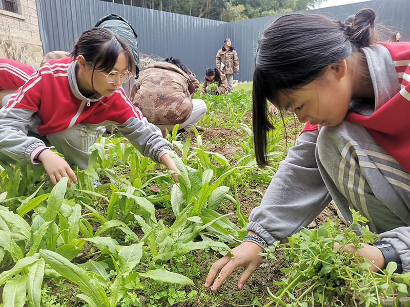 随州叛逆青少年封闭式管教学校