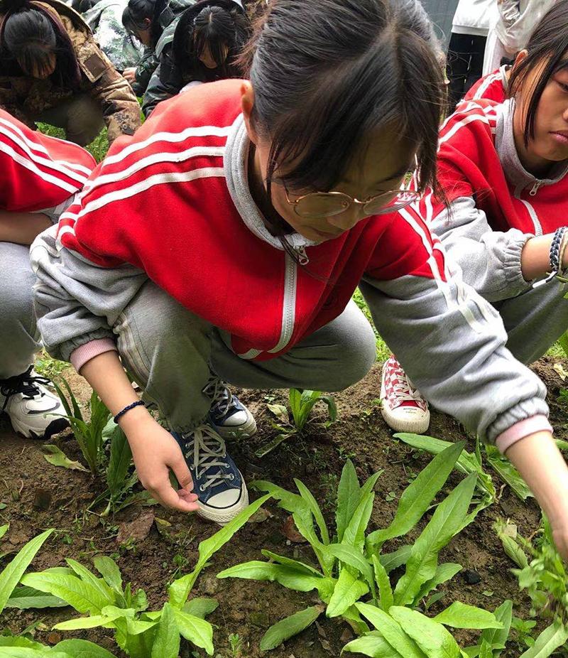 全封闭学校|叛逆孩子教育改变学校
