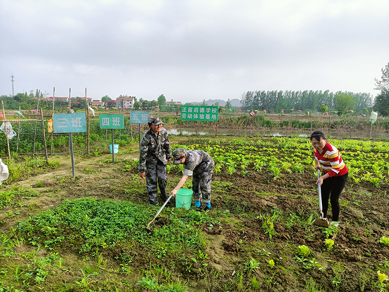 全封闭军事化管理学校|特训学校 