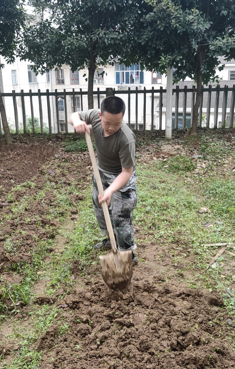 全封闭军事化管理学校|特训学校