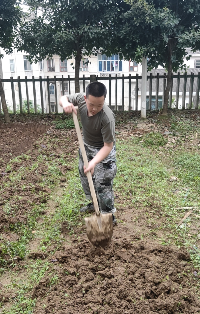 孩子厌学教育管教学校