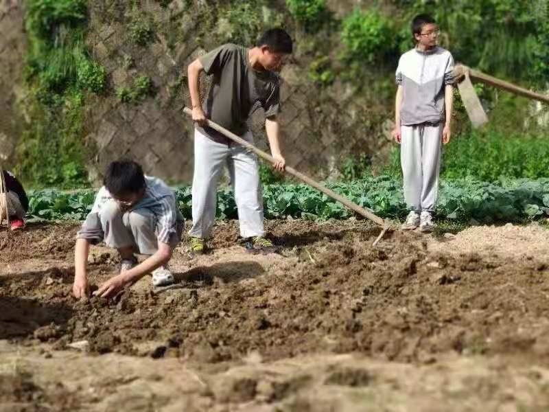孩子上网成瘾怎么办