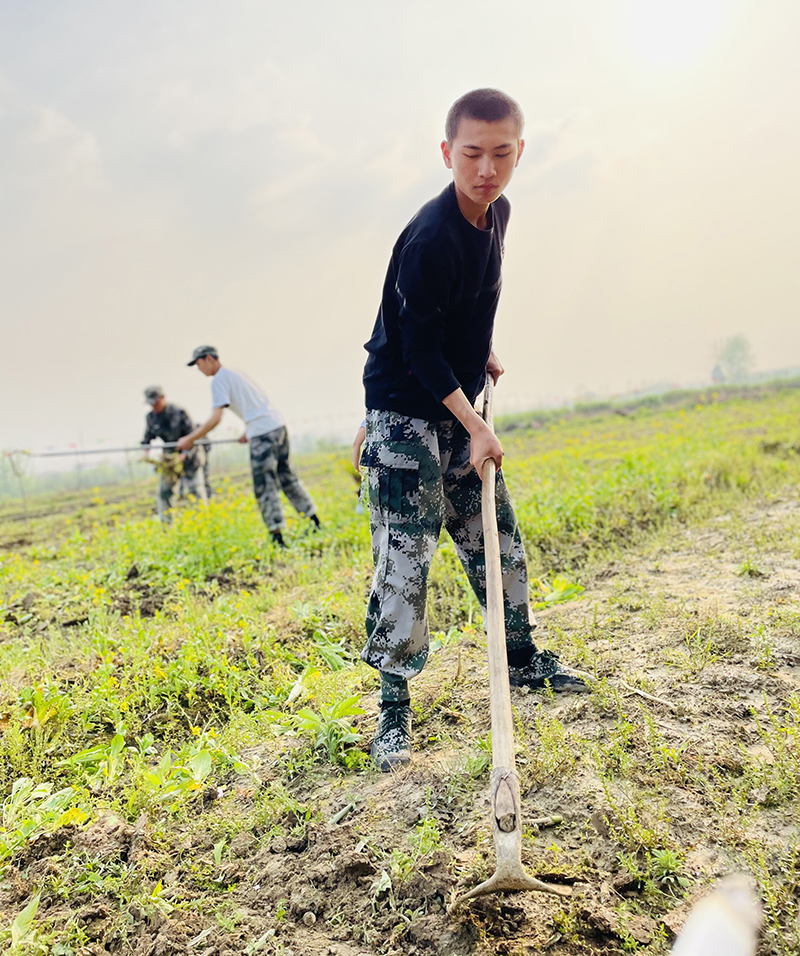 泰州教育叛逆期厌学孩子厌学的励志学校