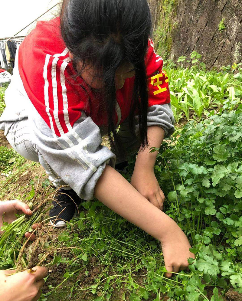 孩子叛逆逃课早恋的封闭学校