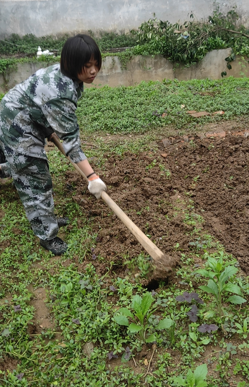 郴州改造叛逆期青少年厌学的封闭式学校