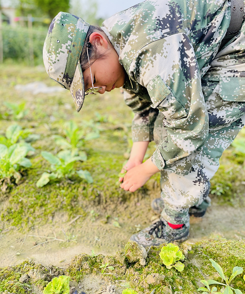 信阳全封闭学校|叛逆孩子教育改变学校