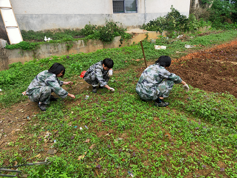 不听话孩子叛逆期成长教育学校