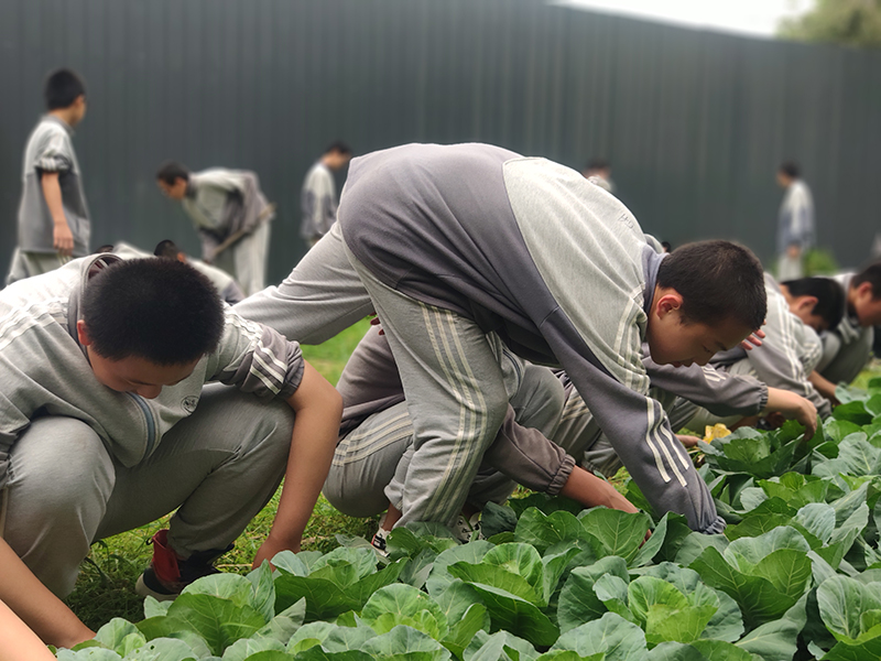 天门不听话青少年素质教育特训学校