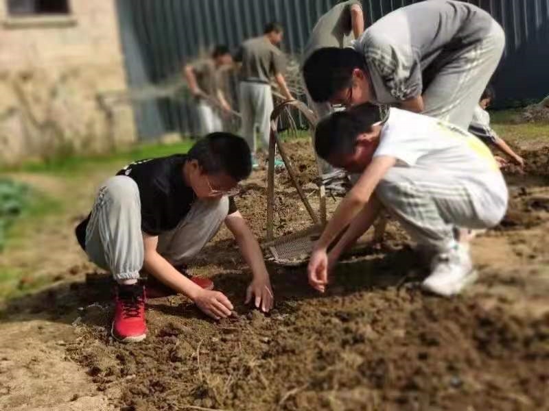 湖北正规特训学校