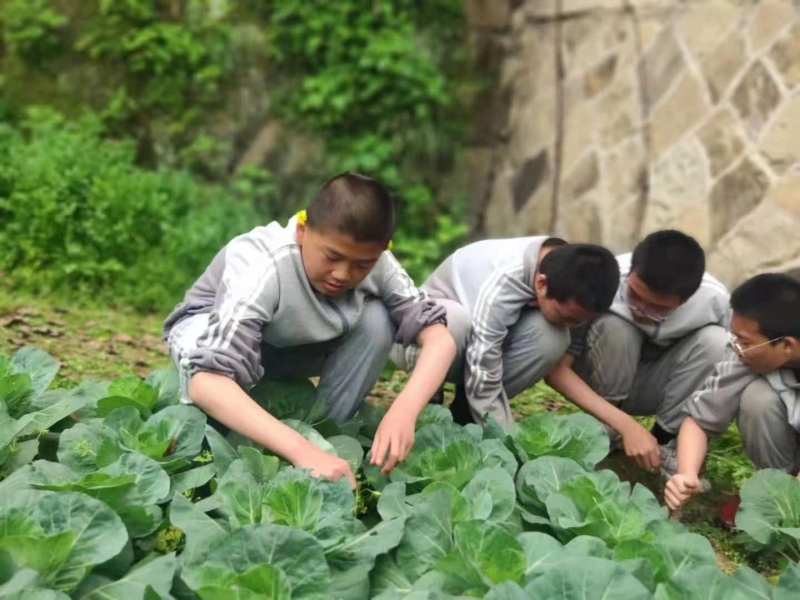 孩子厌学成长教育学校